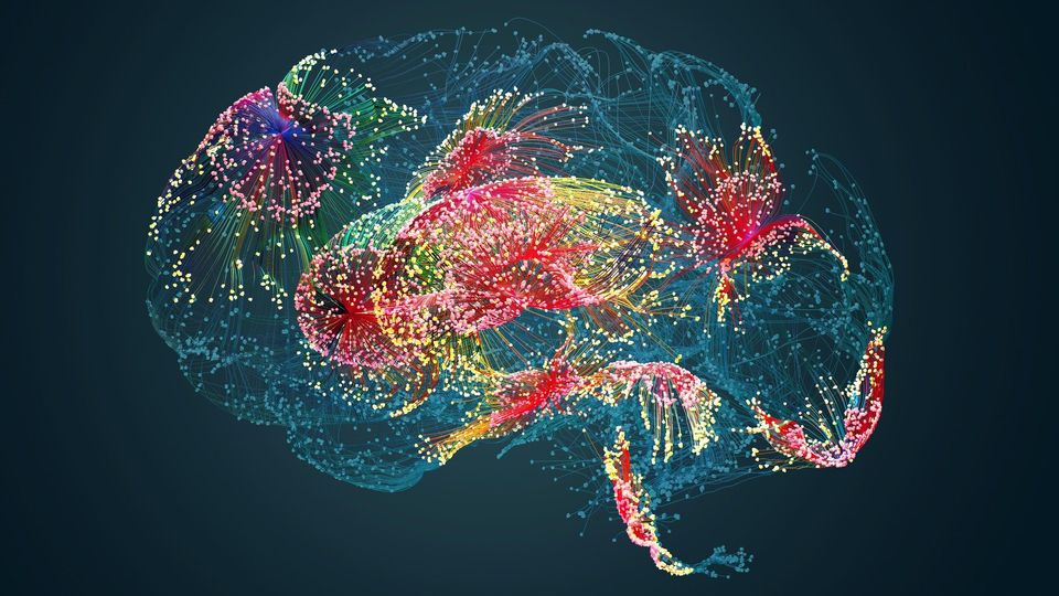 A visual of the human brain and its cell types.