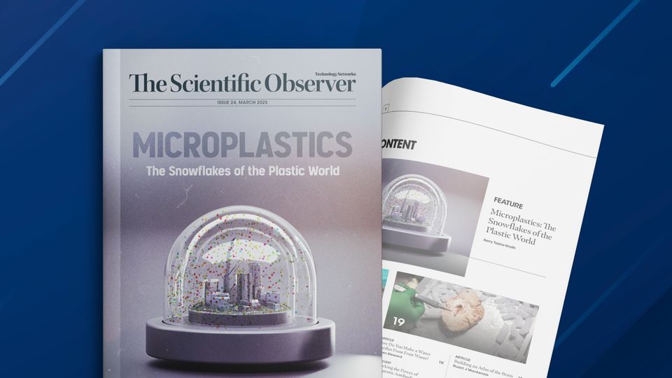 The Scientific Observer Issue 24 content piece image