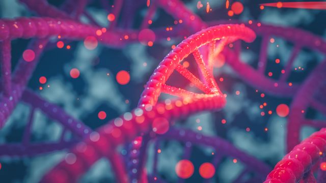 Double helix structure of DNA. 