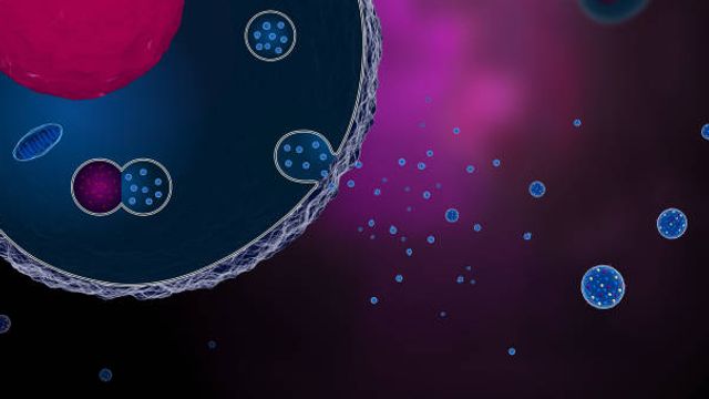 Exosomes 