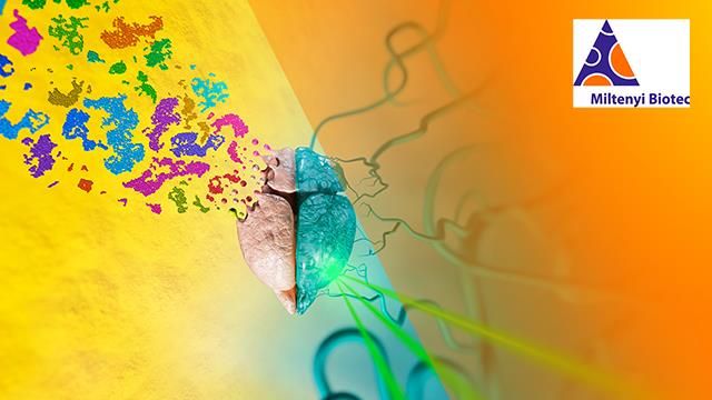 Two Workflows To Streamline Your Neuroscience Research  content piece image 