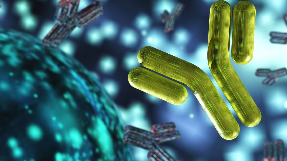 Unlocking the Power of Therapeutic Antibodies content piece image