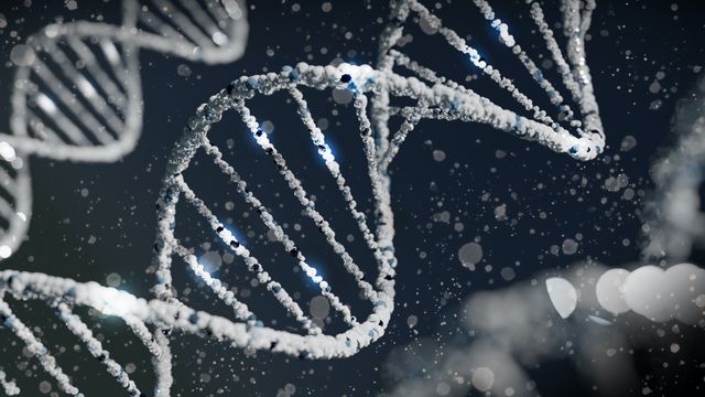 Double helix structure of DNA. 