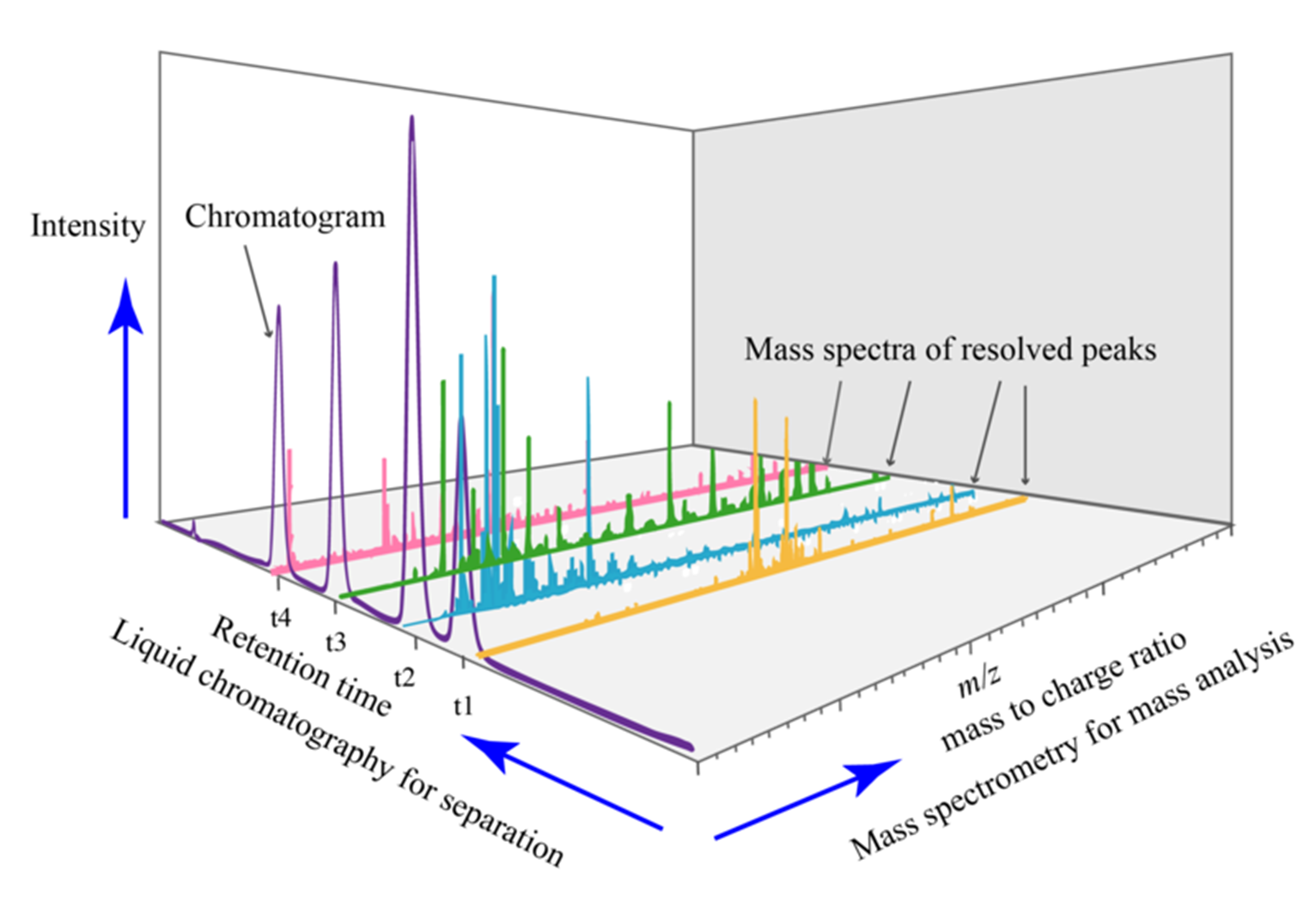 Example output plot from LC-MS analysis. Retention time from LC separation is shown in the first plane, mass-to-charge ratio from MS analysis in the second plane and intensity in the third plane.